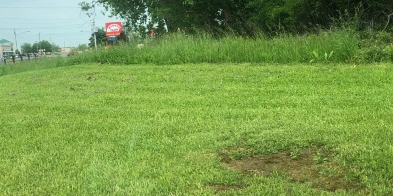 1401 French Rd - Vacant Land - Development Site