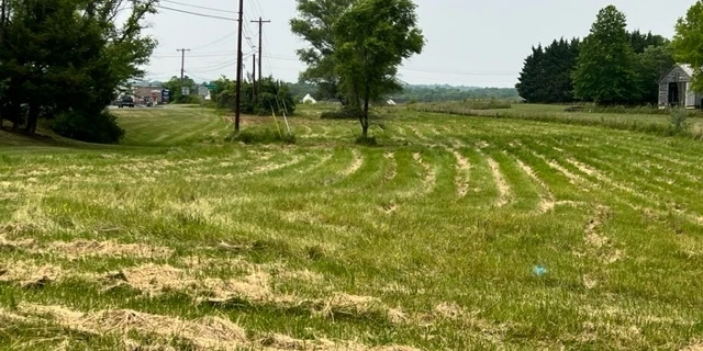 Middletown Village, Commercial Development