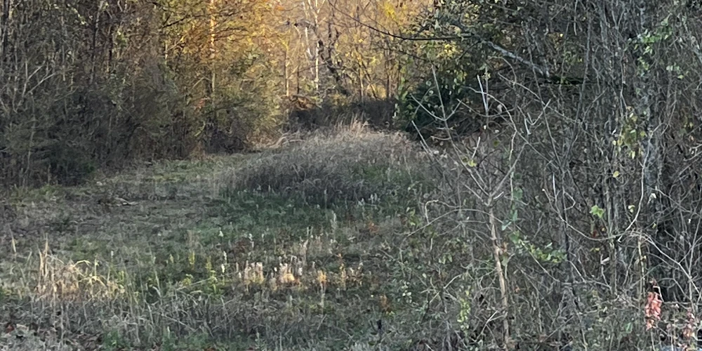 2.1 Acres of Industrial to Develop in Pelham AL