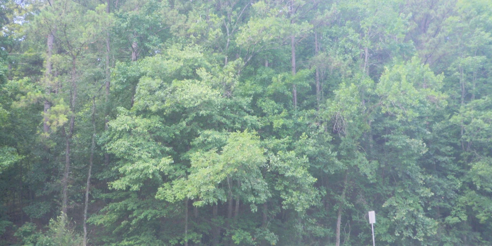 5.62 Acres Opportunity Zone Irondale AL