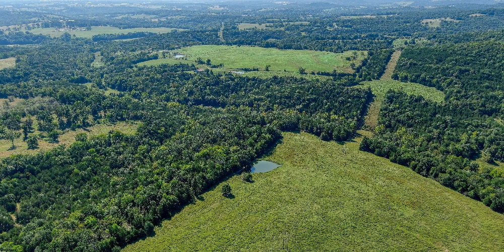 Pine Creek Ranch - Eureka Springs, AR 