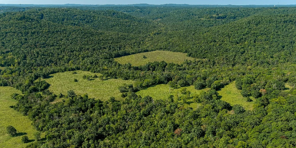 Pine Creek Ranch - Eureka Springs, AR 