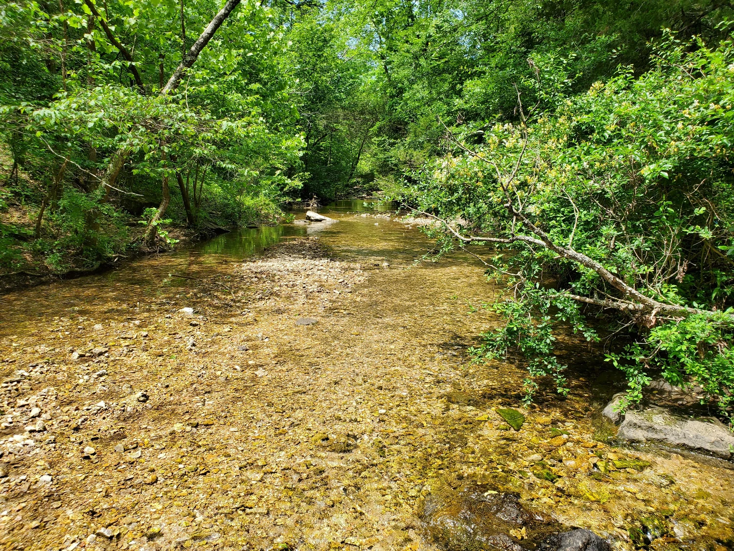 Pine Creek Ranch - Eureka Springs, AR 