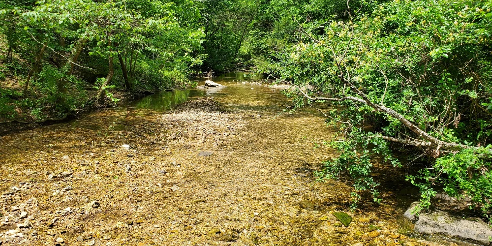 Pine Creek Ranch - Eureka Springs, AR 