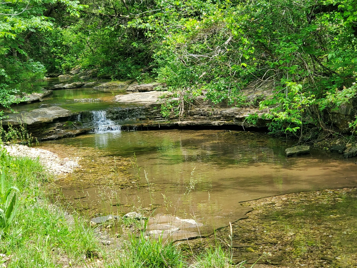 Pine Creek Ranch - Eureka Springs, AR 