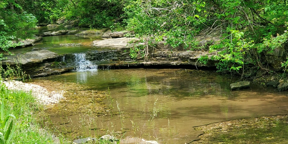 Pine Creek Ranch - Eureka Springs, AR 