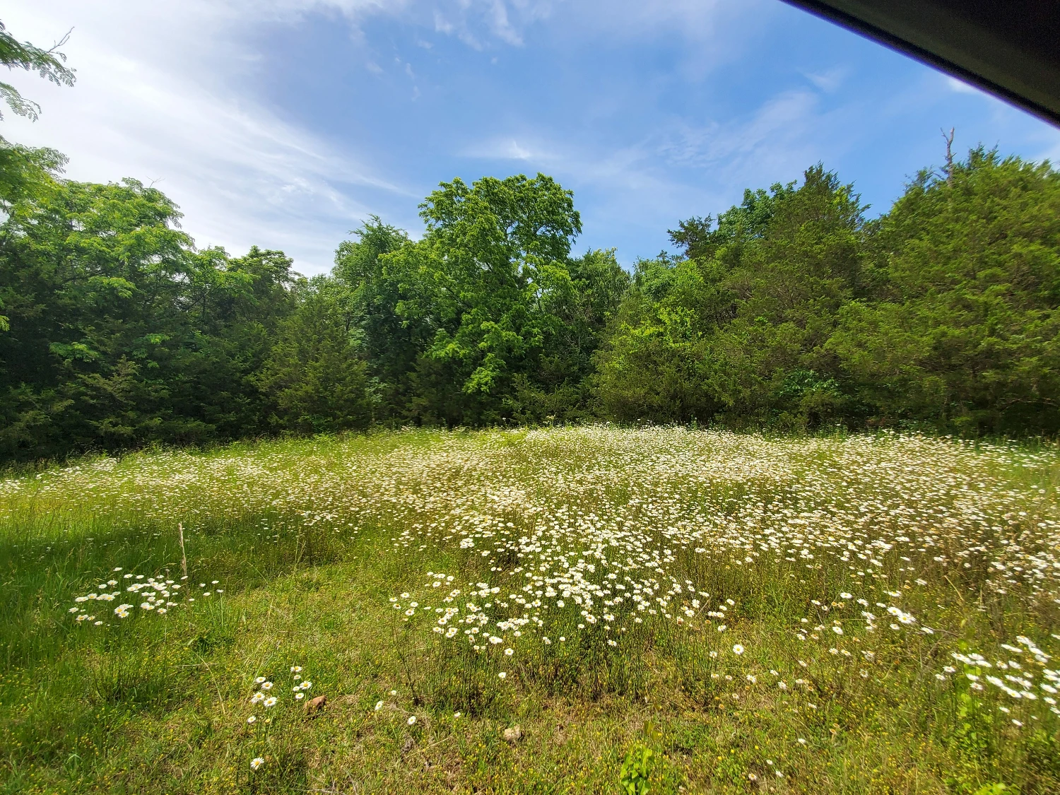 Pine Creek Ranch - Eureka Springs, AR 