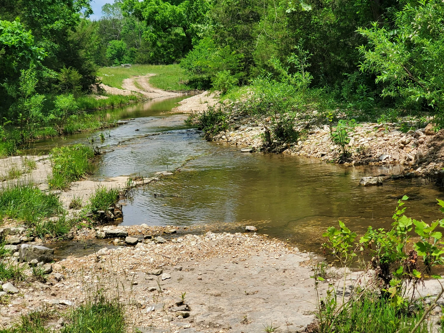 Pine Creek Ranch - Eureka Springs, AR 