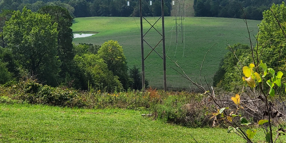 Pine Creek Ranch - Eureka Springs, AR 
