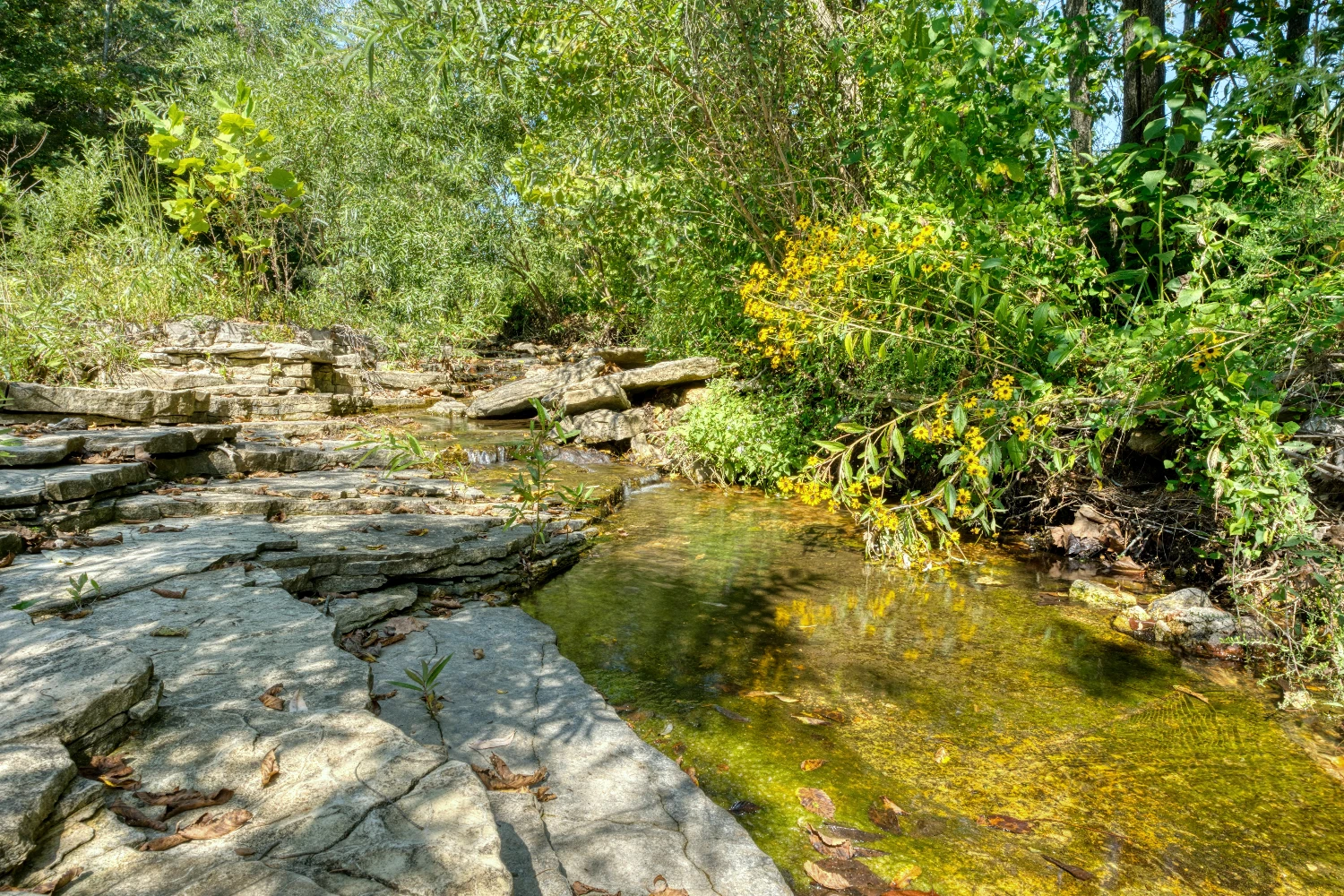 Pine Creek Ranch - Eureka Springs, AR 