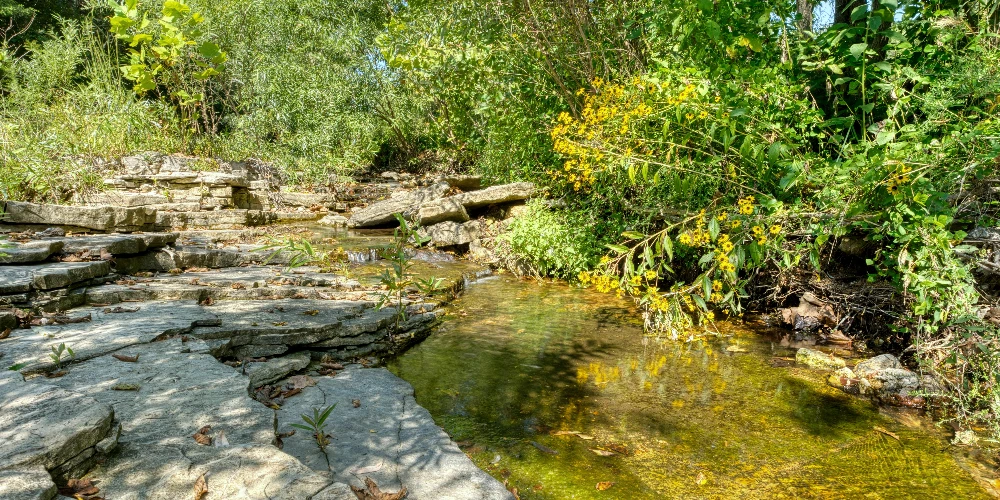 Pine Creek Ranch - Eureka Springs, AR 