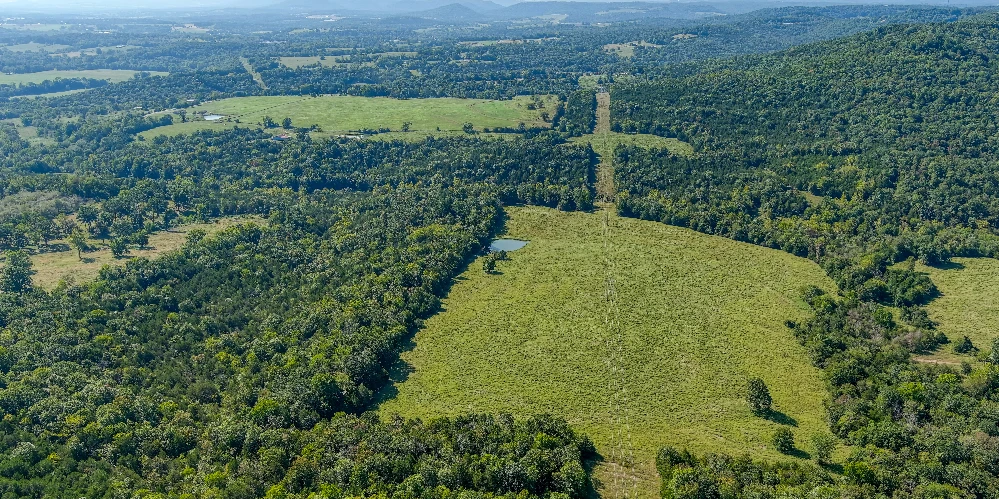 Pine Creek Ranch - Eureka Springs, AR 