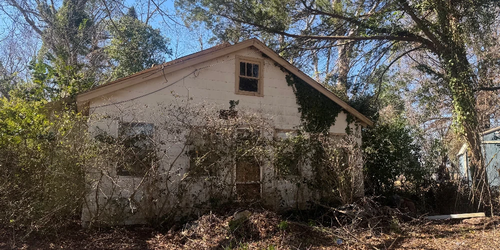 Multifamily Commercial/Residential Zoned Tract Near Elloree | Horses, Farms, and Fields Country