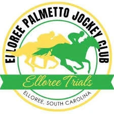 Multifamily Commercial/Residential Zoned Tract Near Elloree | Horses, Farms, and Fields Country
