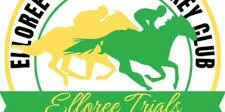 Multifamily Commercial/Residential Zoned Tract Near Elloree | Horses, Farms, and Fields Country