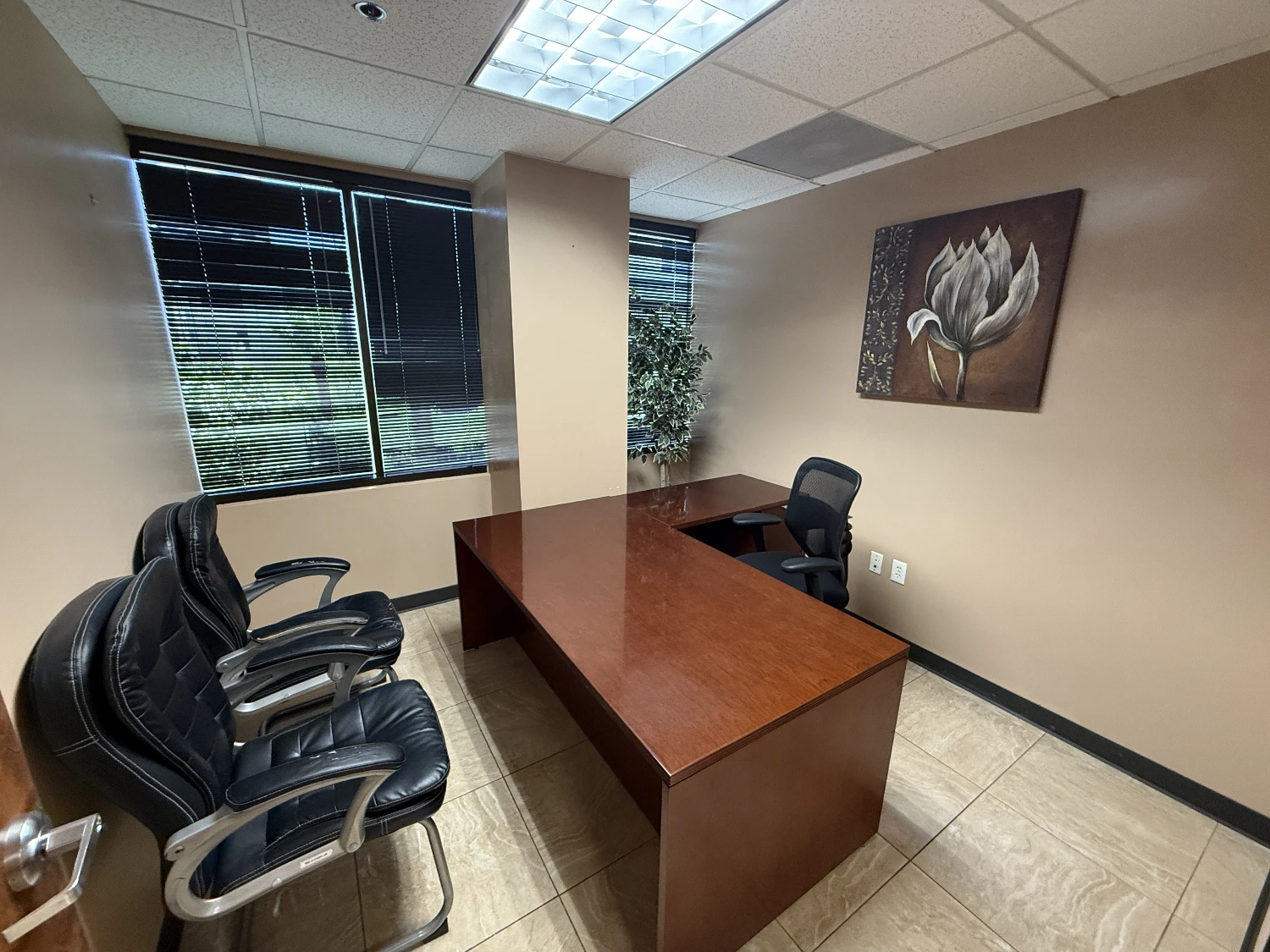 Earll Professional Plaza