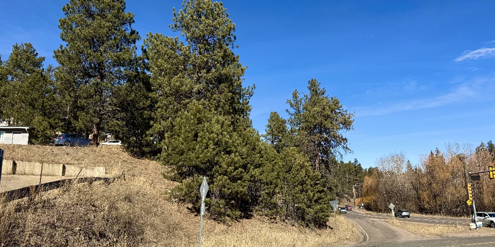 ±0.95 Acre Transitional Land Opportunity | Evergreen