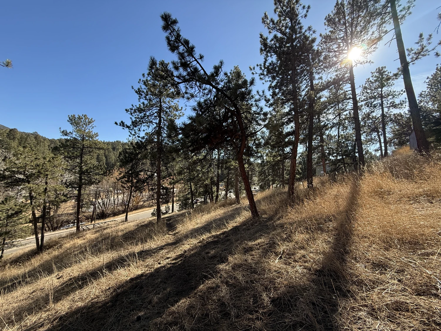±0.95 Acre Transitional Land Opportunity | Evergreen