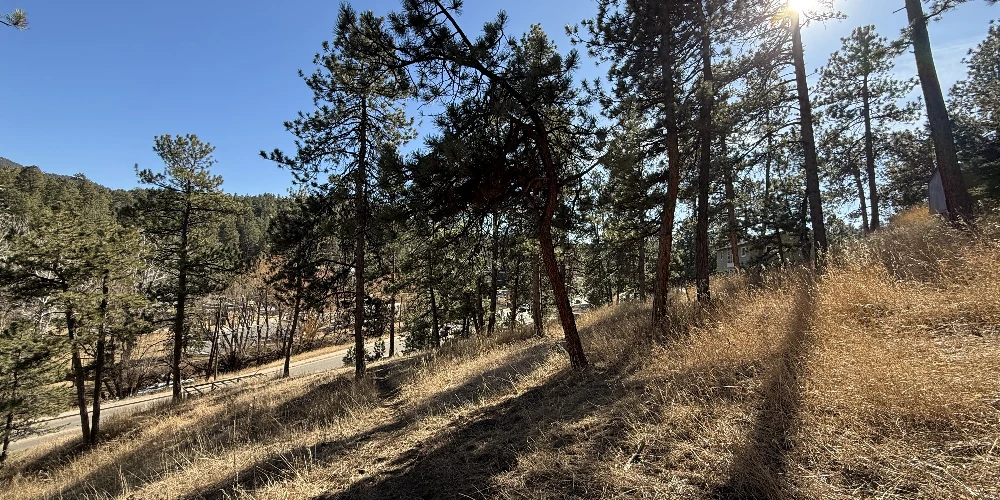 ±0.95 Acre Transitional Land Opportunity | Evergreen
