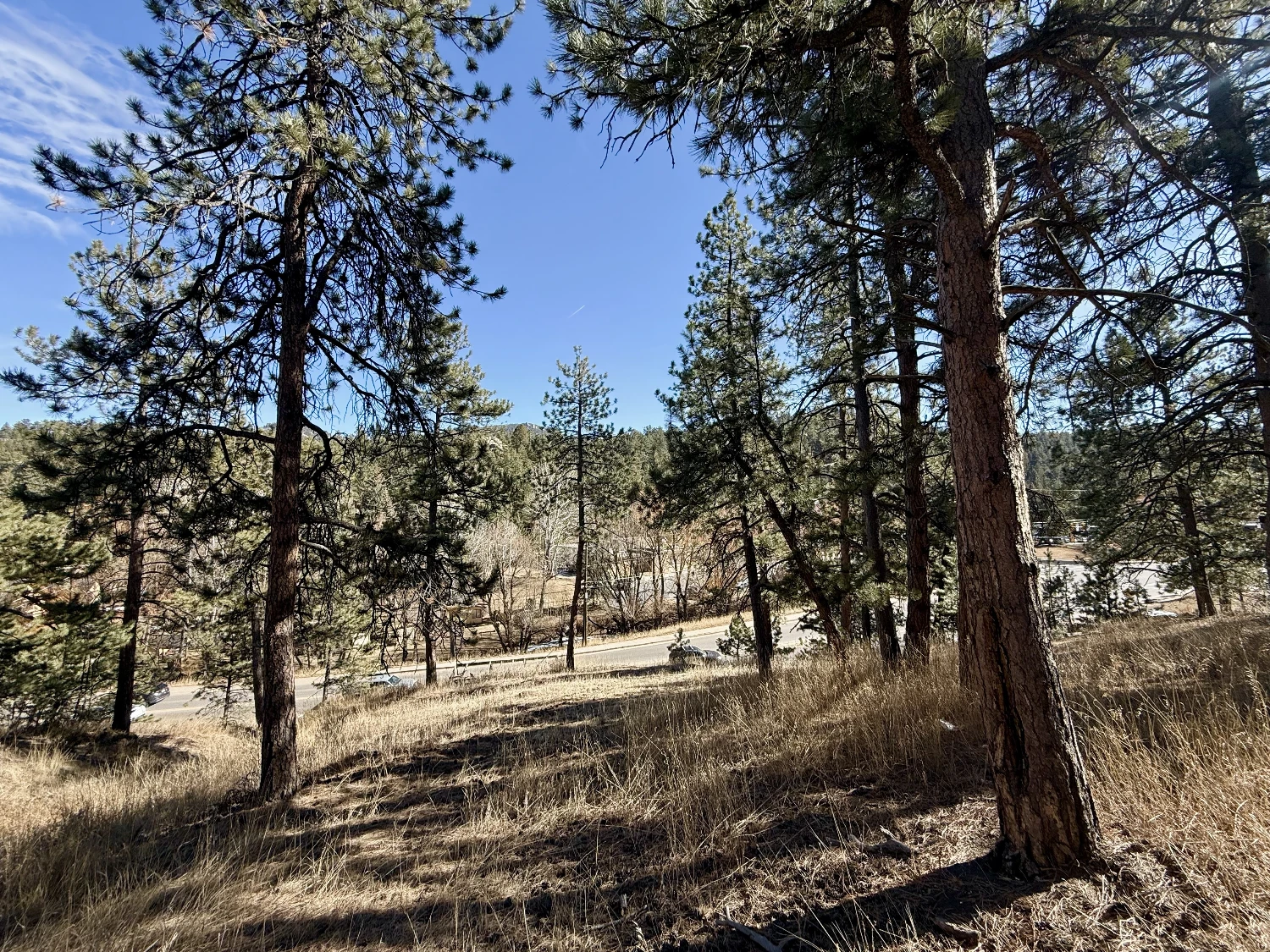±0.95 Acre Transitional Land Opportunity | Evergreen
