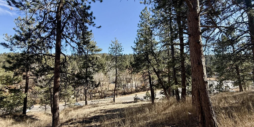 ±0.95 Acre Transitional Land Opportunity | Evergreen