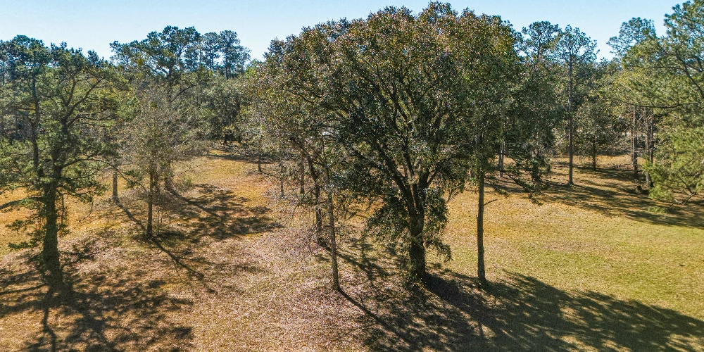 3940 Florida 16, St. Augustine, FL for sale