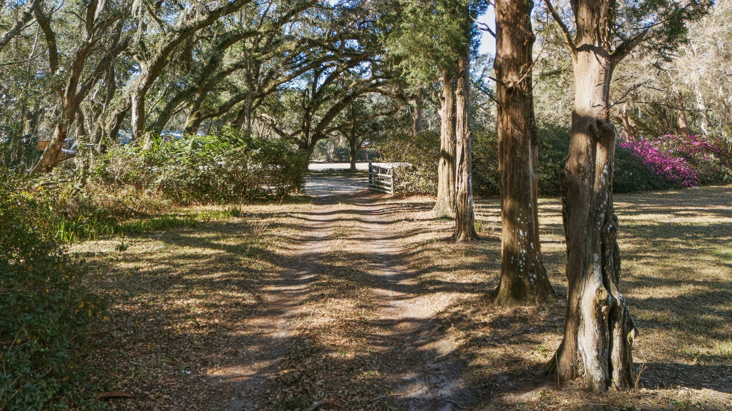 3940 Florida 16, St. Augustine, FL for sale