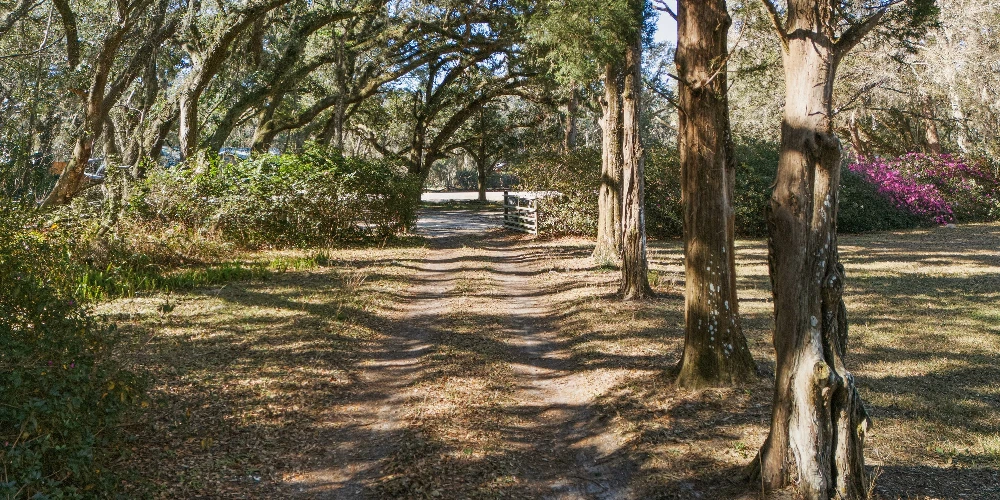 3940 Florida 16, St. Augustine, FL for sale