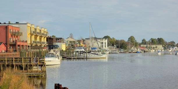 Georgetown - Coastal SC Area - One Acre On Lake - Maximize Rental Unit Infill - Near Grand Strand Area