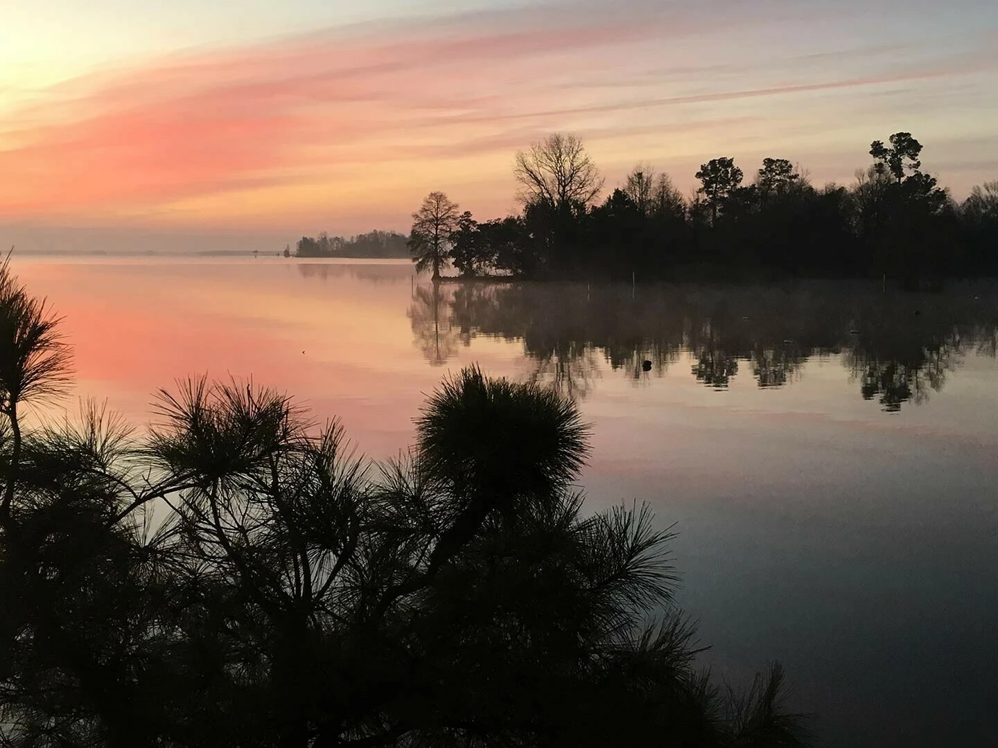 Multifamily Commercial/Residential Zoned Tract Near Fort Motte-Lone Star | Horses, Farms, and Fields Country