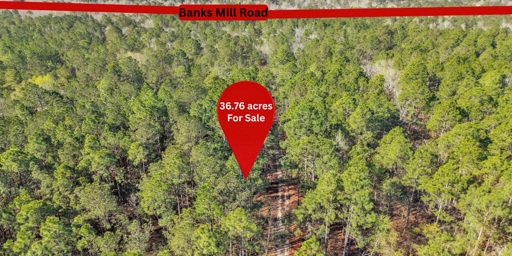 Banks Mill Rd SE (36.76 acres), Aiken, SC for sale