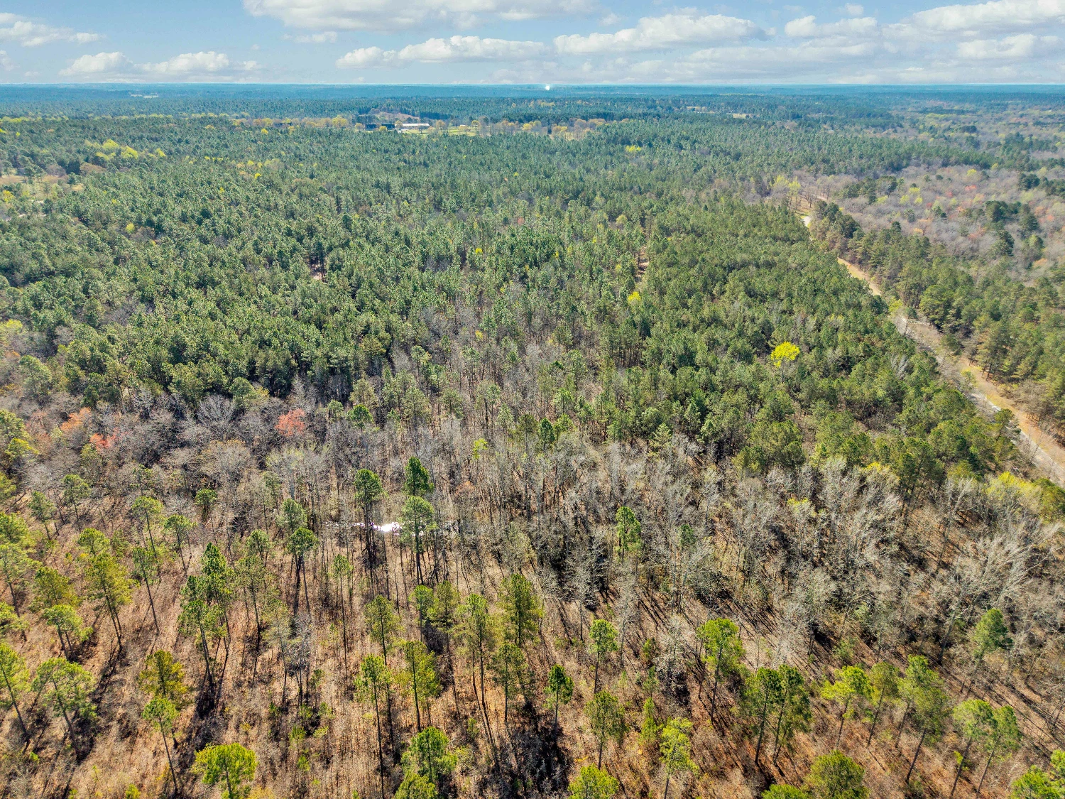 Banks Mill Rd SE (36.76 acres), Aiken, SC for sale