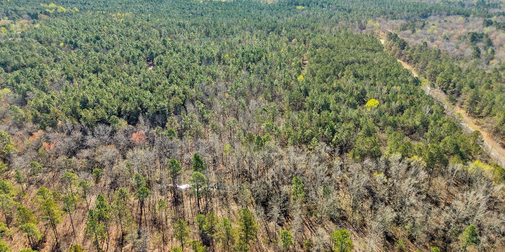 Banks Mill Rd SE (36.76 acres), Aiken, SC for sale