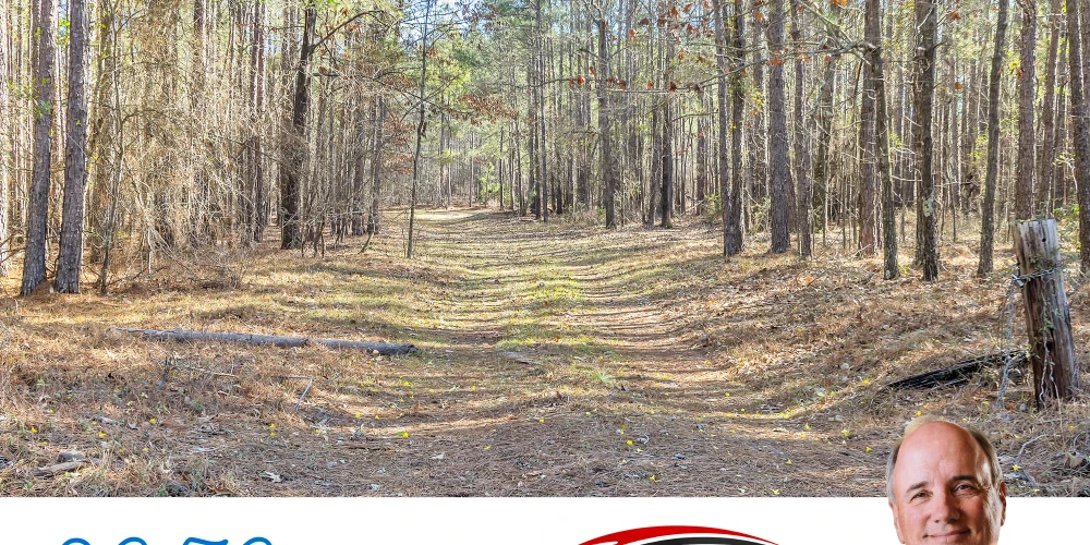 Banks Mill Rd SE (36.76 acres), Aiken, SC for sale