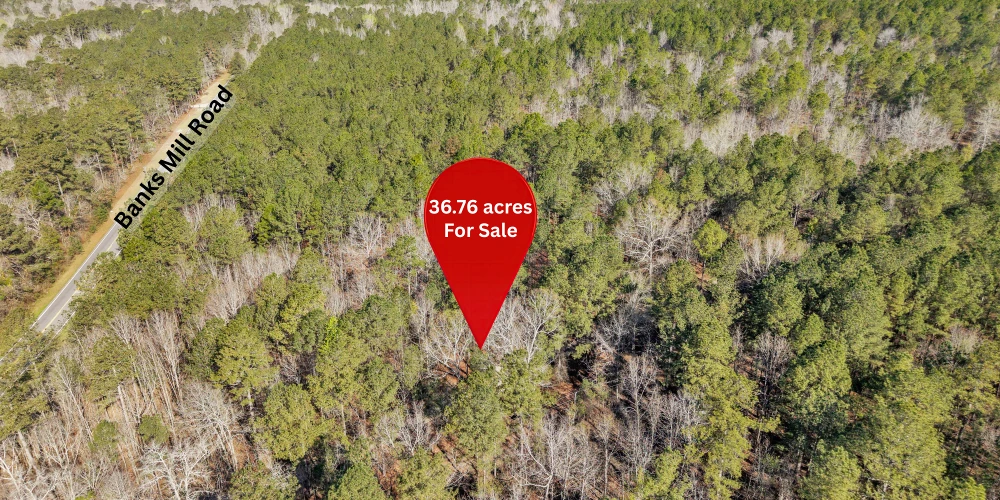 Banks Mill Rd SE (36.76 acres), Aiken, SC for sale