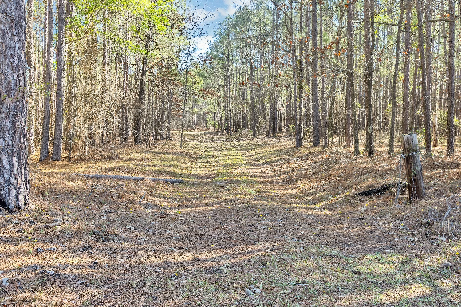 Banks Mill Rd SE (36.76 acres), Aiken, SC for sale
