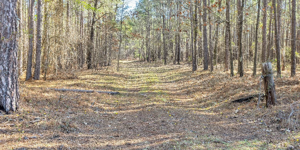 Banks Mill Rd SE (36.76 acres), Aiken, SC for sale