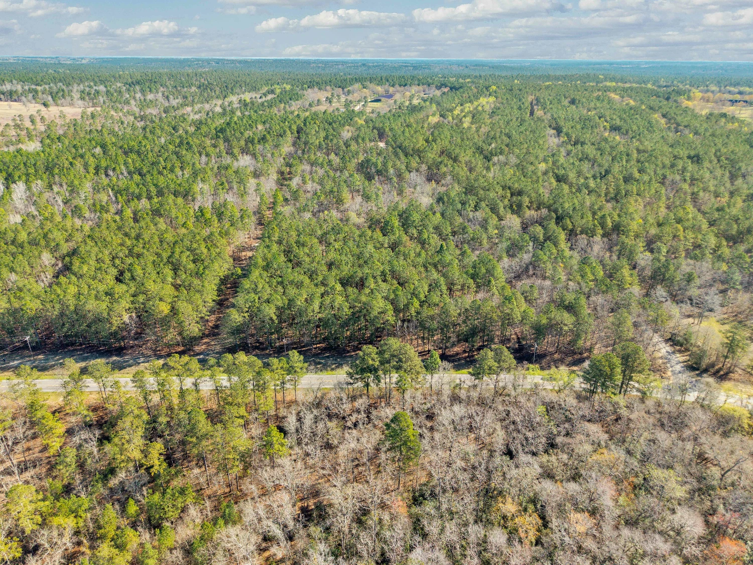 Banks Mill Rd SE (36.76 acres), Aiken, SC for sale