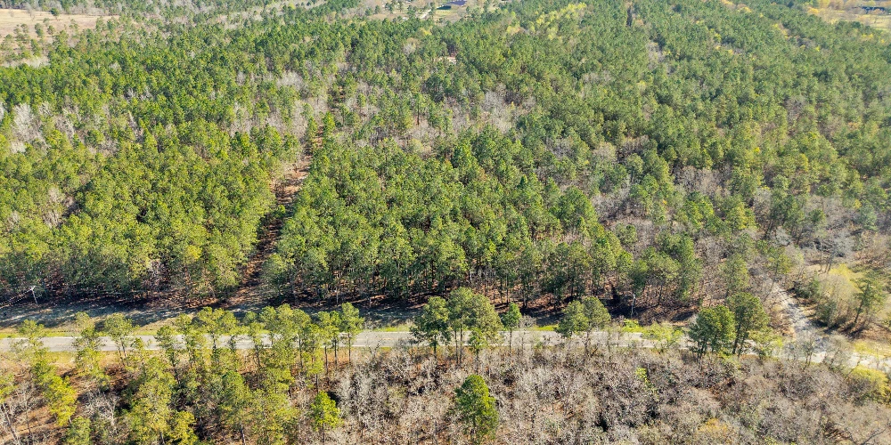 Banks Mill Rd SE (36.76 acres), Aiken, SC for sale