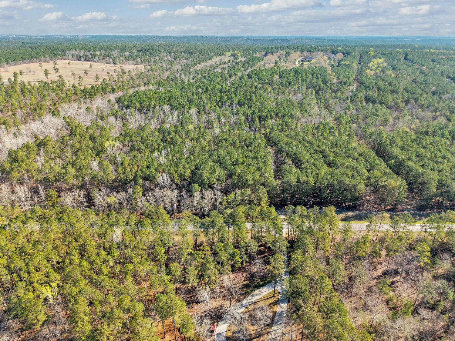Banks Mill Rd SE (36.76 acres), Aiken, SC for sale