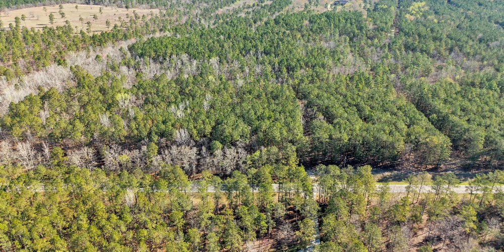 Banks Mill Rd SE (36.76 acres), Aiken, SC for sale