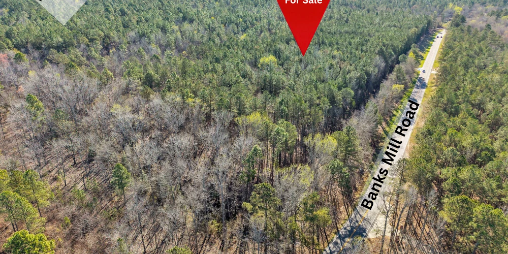 Banks Mill Rd SE (36.76 acres), Aiken, SC for sale