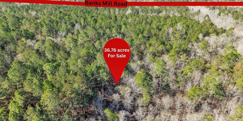 Banks Mill Rd SE (36.76 acres), Aiken, SC for sale