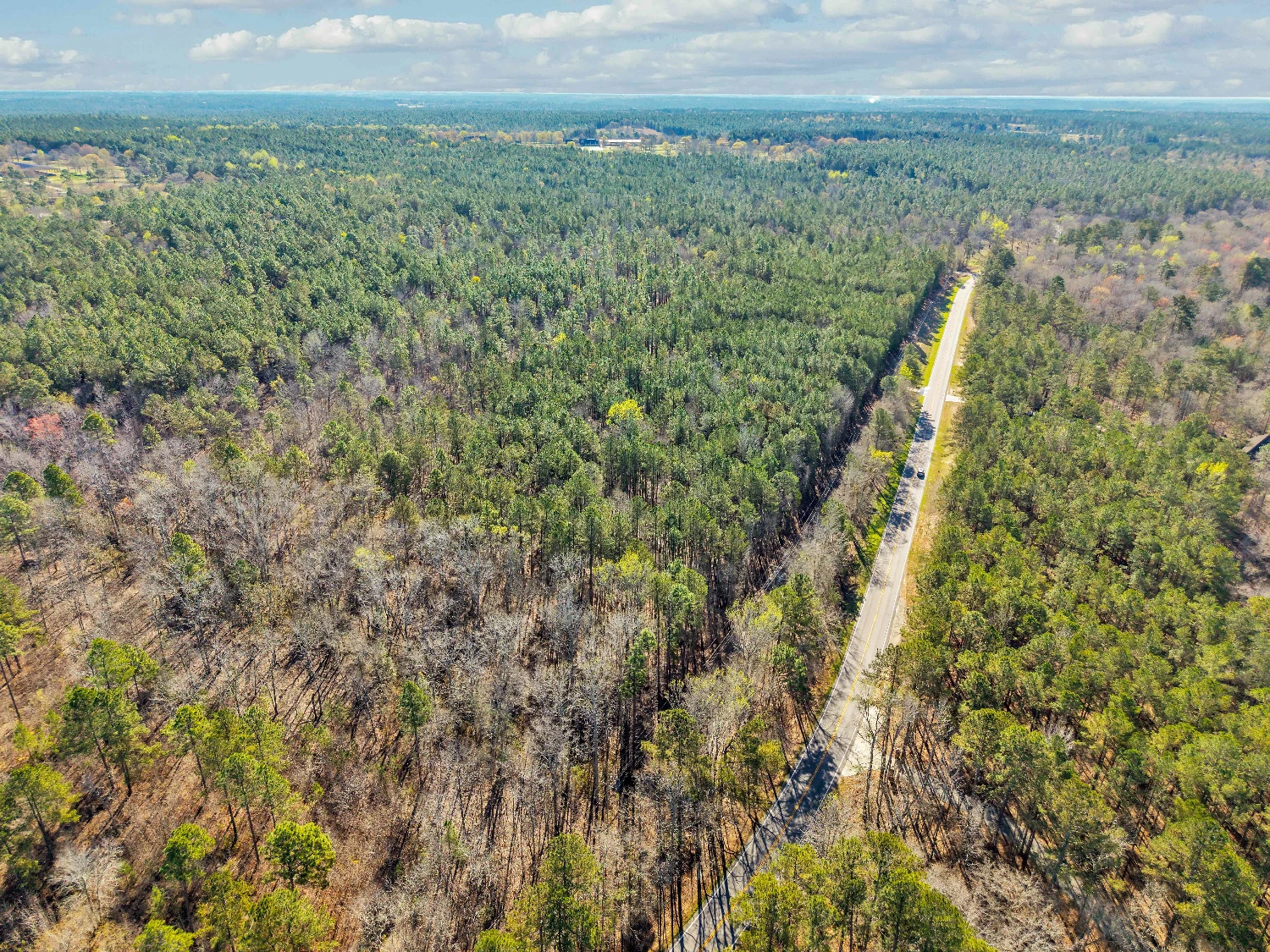Banks Mill Rd SE (36.76 acres), Aiken, SC for sale