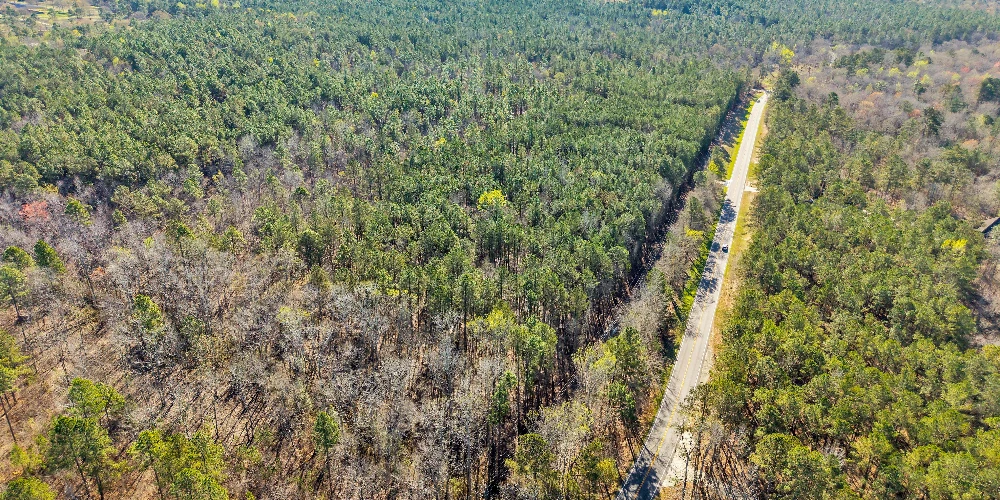Banks Mill Rd SE (36.76 acres), Aiken, SC for sale