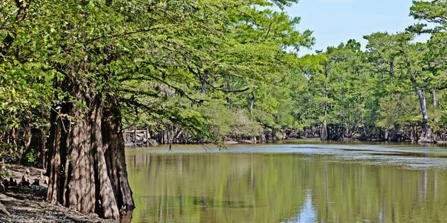 City of Johnsonville, Florence County, SC Manufactured Housing Land/Home Site or Agriculture Worker Multifamily Site