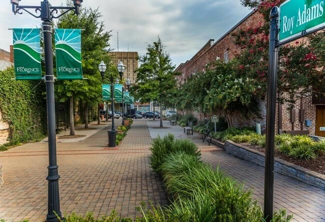 Florence County, SC Manufactured Housing Land/Home Site or Workforce Housing Multifamily Site. NZ = No Zoning meaning your Blank Slate.