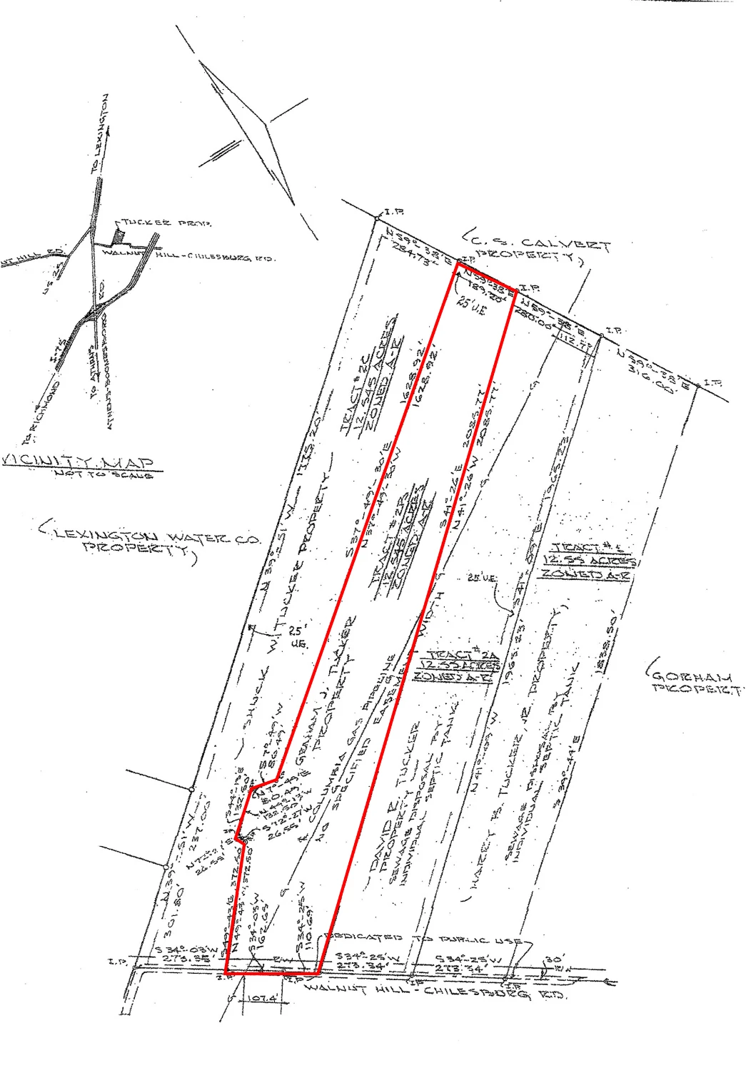 +/-12.54 AC Chilesburg Land