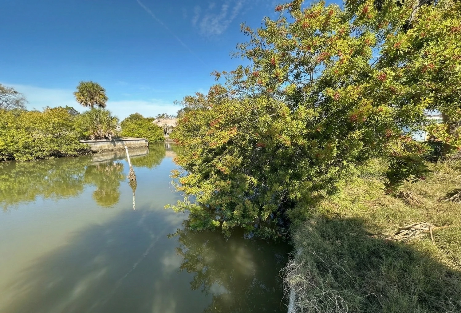 Premier Waterfront Commercial Opportunity | High Visibility US-19 Frontage