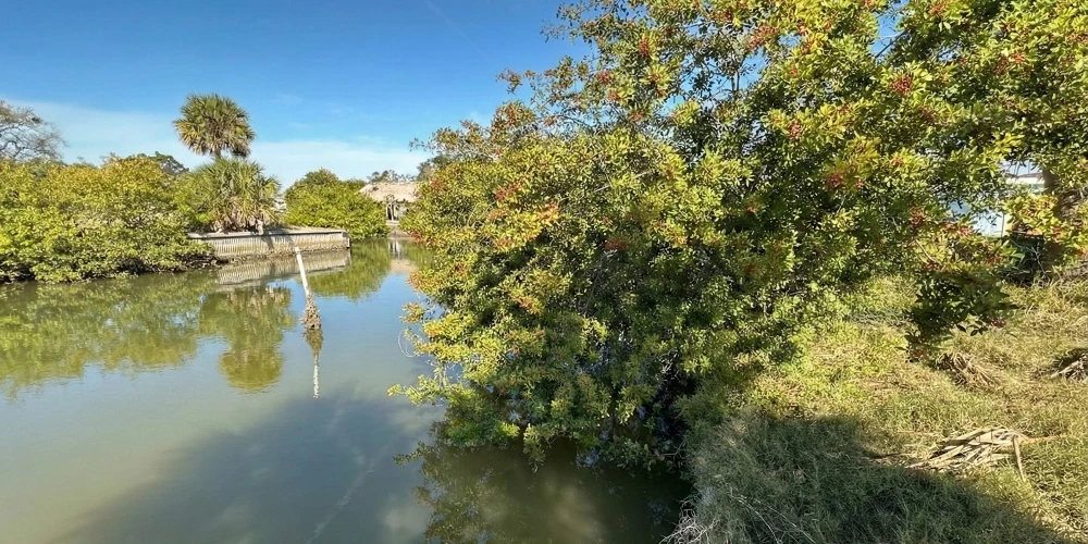 Premier Waterfront Commercial Opportunity | High Visibility US-19 Frontage